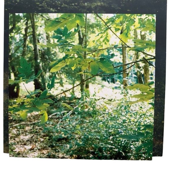 Upstate - You Only Get A Few (Vinyl, LP) - Picture 4 of 9